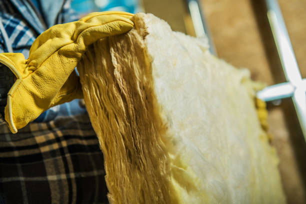 Best DIY Insulation Kits and Guidance in Morgantown, MS